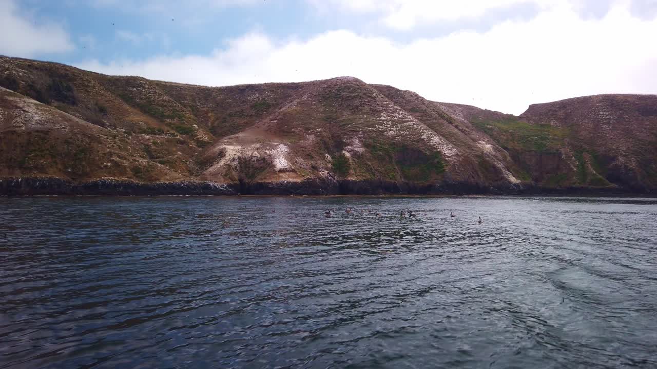 캘리포니아 해안의 채널 제도 국립공원에 있는 중간 아나카파 섬을 모으는 갈색 펠리컨과 다른 바닷새들의 움직이는 보트에서 짐벌 클로즈업 샷