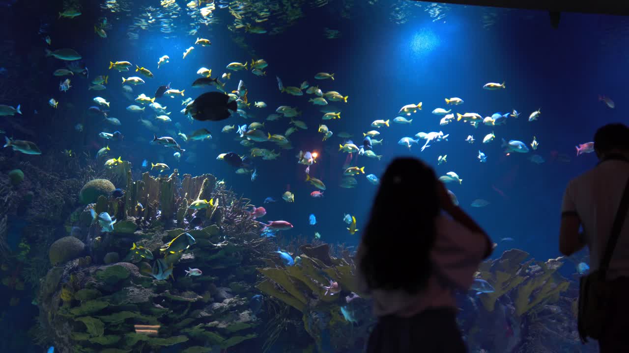 Fish tank in aquarium in Valencia