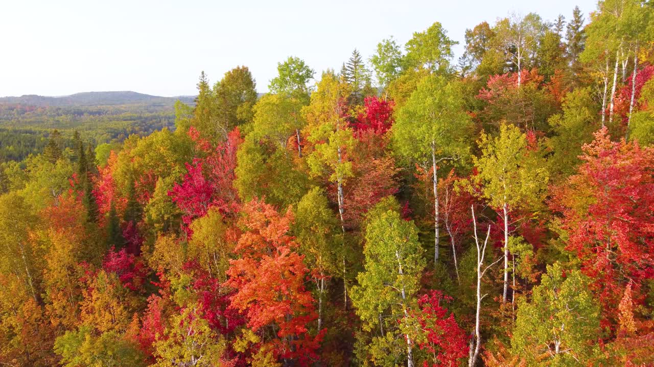 Aerial Flythrough of Fall Foliage in Northern Ontario, Canada