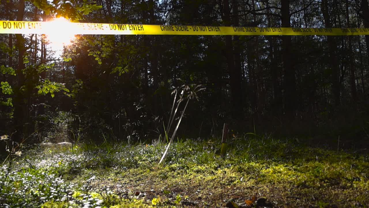 Low angle panning along yellow crime scene tape stretched across forested hiking trail. Knife, murder weapon stabbed into the ground. Sun flares through tall, shadowy trees and sunny forest floor