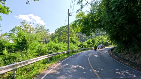 winding road through lush, green forest landscape