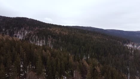 Aerial-Shot-Flying-Over-Pine-Trees-In-A-Mountain-Range