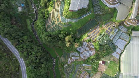 general landscape view of the brinchang district within the cameron highlands area of malaysia