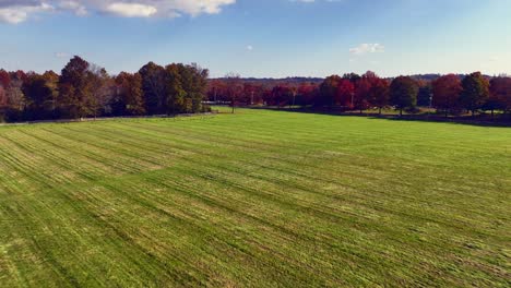 An-aerial-view-of-an-open-field-surrounded-by-colorful-trees-in-autumn-on-a-sunny-day