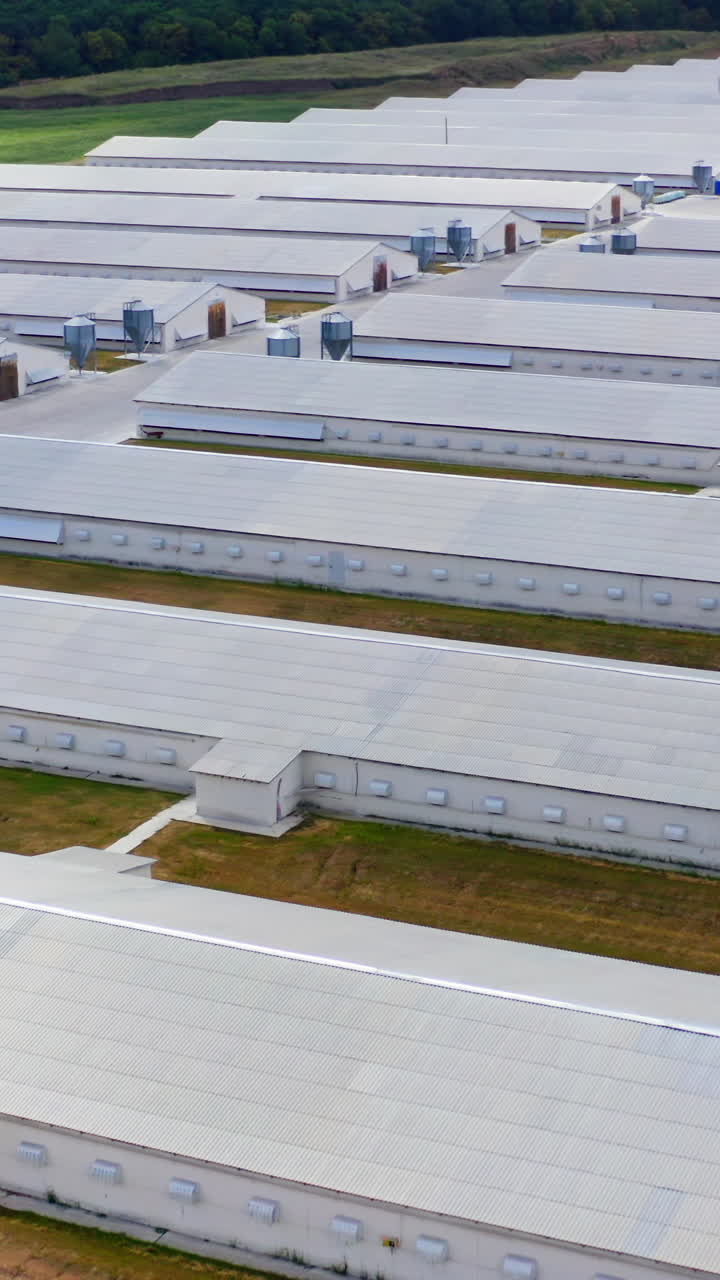 Farm buildings on field. Modern agriculture on a meadow. Flying over large barns surrounded by nature. Aerial view. Vertical video