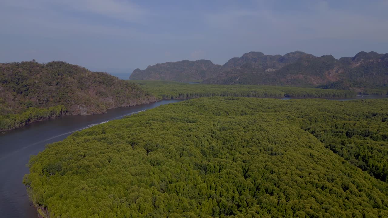 맹그로브 리버 힐스 말레이시아 랭카위