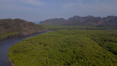 Manglares-Río-Colinas-Malasia-Langkawi