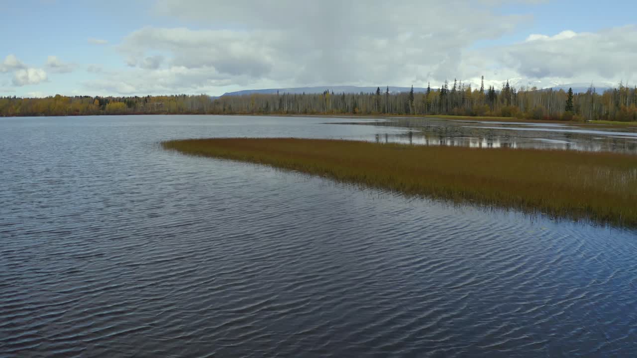A close to the water moving aerial drone shot of Seymour Lake in the Smithers, northern British Columbia area during the autumn months which ends with a couple geese being scared and flying away