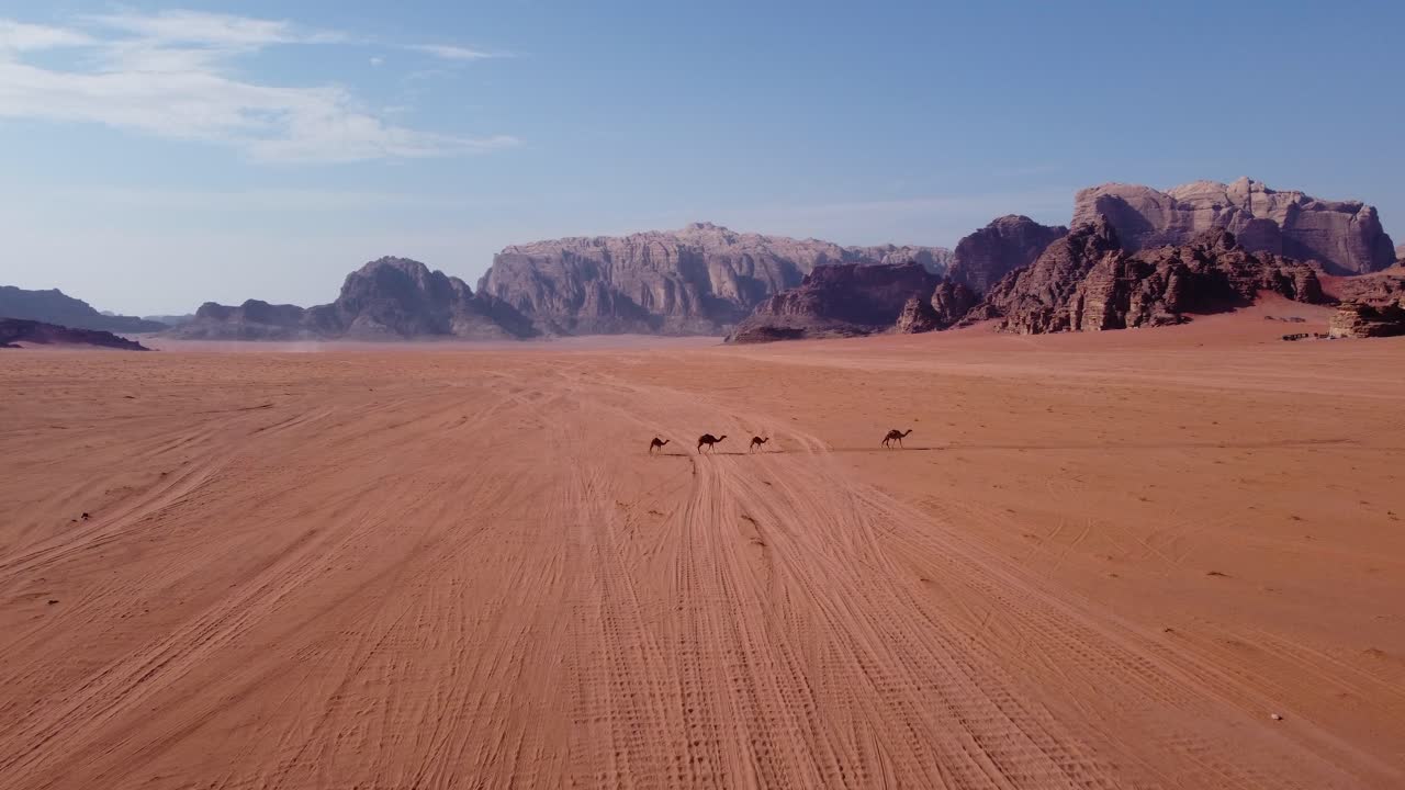 요르단 2의 와디 럼 사막을 걷는 낙타 가족의 조감도