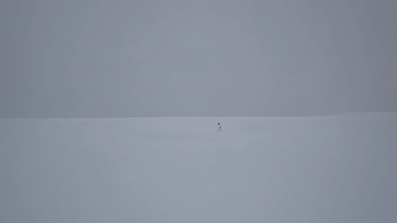 A minimalist video scene with a wide-angle shot of a solitary figure in a vast, snowy landscape