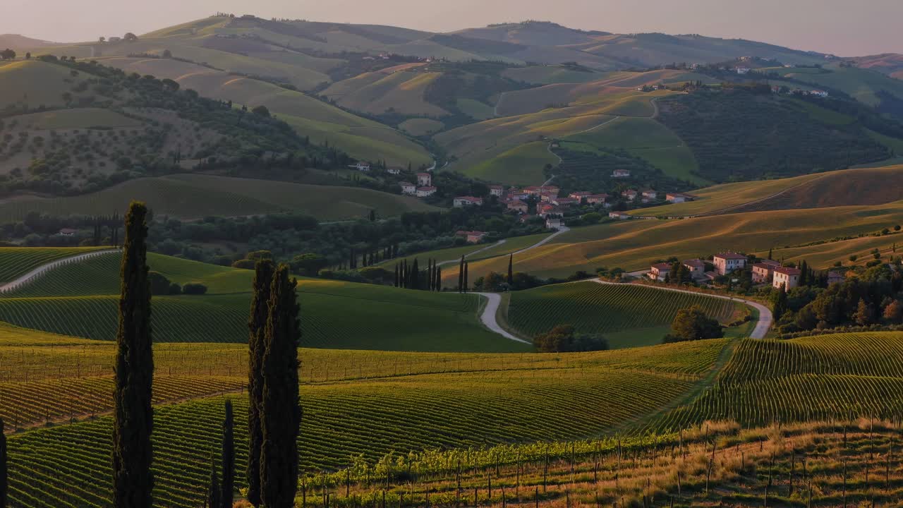 Aerial video view of rolling hills and vineyards at sunset, showcasing lush greenery and winding