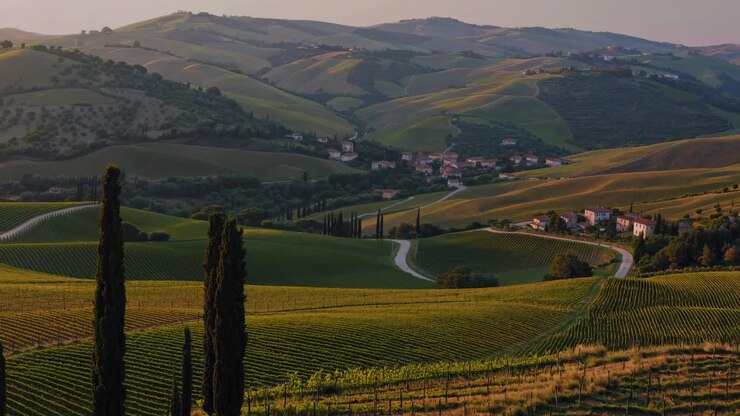 Vista aerea con video di dolci colline e vigneti al tramonto, che mostra una vegetazione lussureggiante e sinuosa