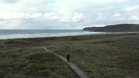 back view of man walking alone on path and dunes leading to deserted beach