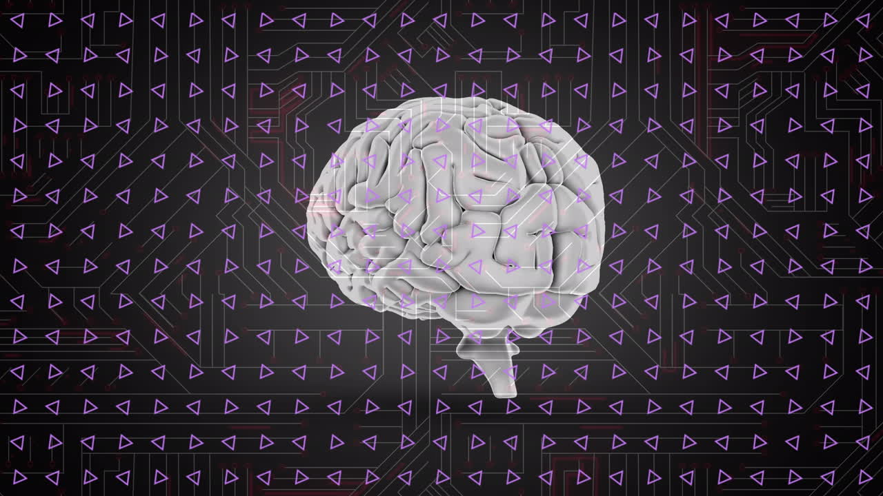 Animation of data processing and human brain over dark background