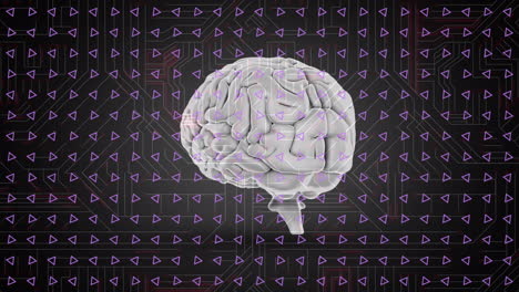 animación del procesamiento de datos y el cerebro humano sobre un fondo oscuro