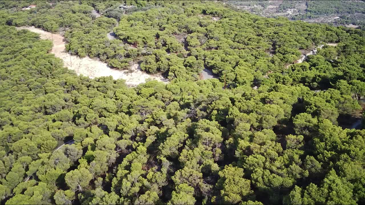 Veduta aerea di una splendida foresta ad Agia Marina in una giornata di sole