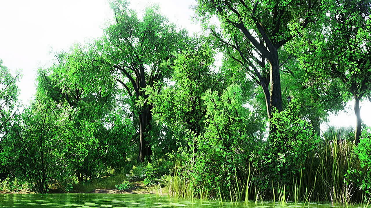 Lush greenery reflects in serene waters under bright sunlight