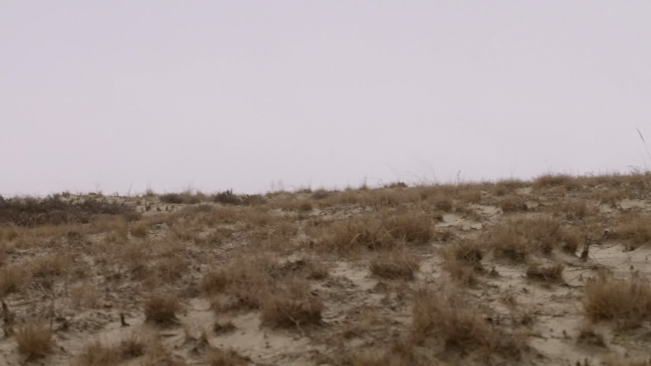 провинстаун, ма