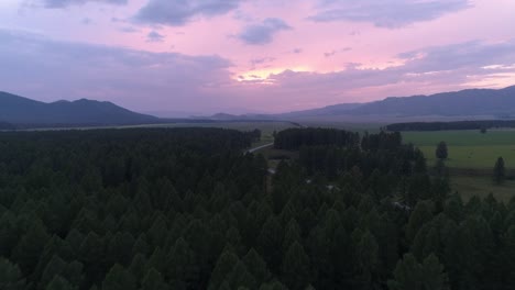 aerial over the forest and road in the valley between mountains at beautiful pink sunset.