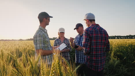 un grupo de granjeros está charlando alrededor de un campo de trigo debatiendo el trabajo en equipo