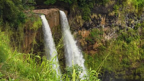 Hd-Cámara-Lenta-Hawaii-Kauai-Toma-Estática-De-Las-Cataratas-Wailua-Con-Hierba-Alta-Que-Sopla-Hacia-La-Derecha-En-Primer-Plano