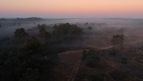 Toma-Aérea-De-La-Niebla-Que-Se-Desplaza-Sobre-El-Valle-Abierto-Y-Los-Bosques