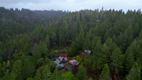 drone panorámica de una villa entre los grandes pinos en una colina en un día nublado