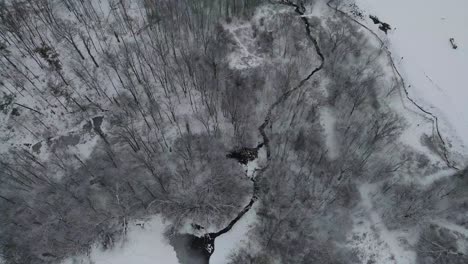 aerial-fresh-snow-covered-trees-going-up-towards-a-cityscape