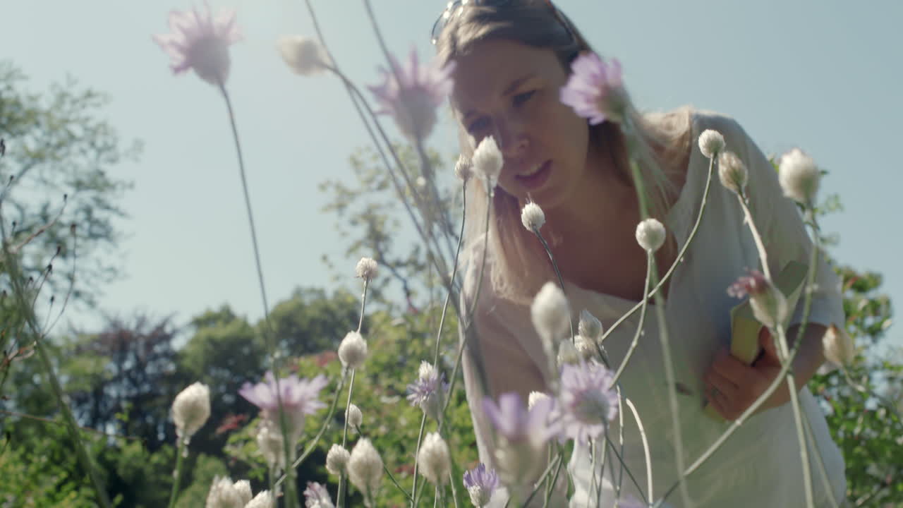 Woman watches bees pollinate flower in park