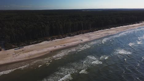 imágenes de drones de una playa de arena y un bosque de pinos