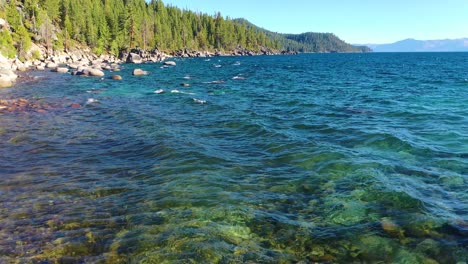 beautiful woman standing on rocky beach at lake taho admiring clear blue water and wearing a colorful flower swimsuit in the siera nevada mountains california, - aerial drone view