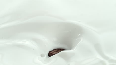 sandwich cookies falling into creamy milk making swirly splashes in macro and slow motion