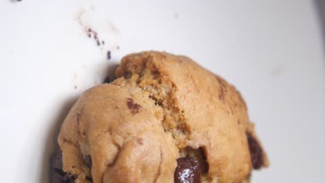 primer plano de una galleta de chispas de chocolate
