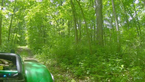 view of the right fender of utv driving on a grassy trail through the woods in late summer