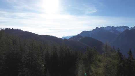 Drone-fly-through-Pine-Trees-and-Reveal-Mountain-Landscape-in-Austrian-Alps,-Europe