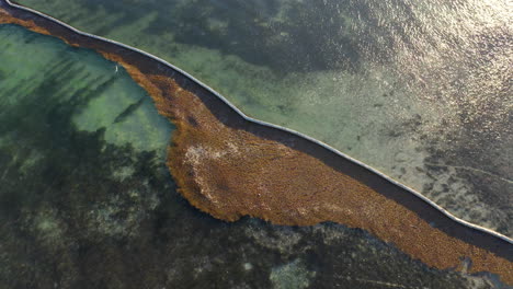 Gentle-winds-push-unwanted-algae-and-pollution-against-a-protective-floating-boom,-aerial