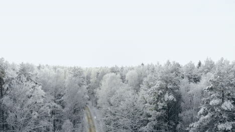 Temporada-De-Invierno-Bosque-De-Montaña-Nevado-Toma-Aérea-Impresionante-Paisaje-Natural,-Bosque-Congelado-Y-Río-De-Montaña-Oscuro