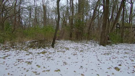 pov from the front of all terrain vehicle or atv while driving through the woods on a snow covered trail on a cloudy afternoon in early winter