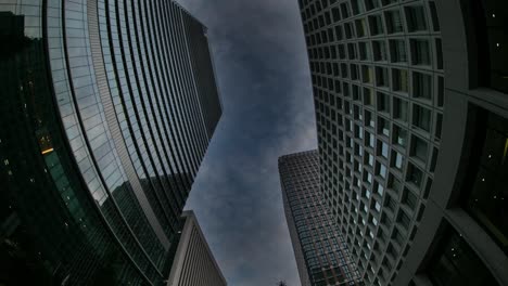 rascavidrios tokio 00