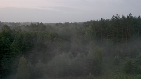 Vuelo-Lento-De-Drones-En-Un-Bosque-De-Niebla
