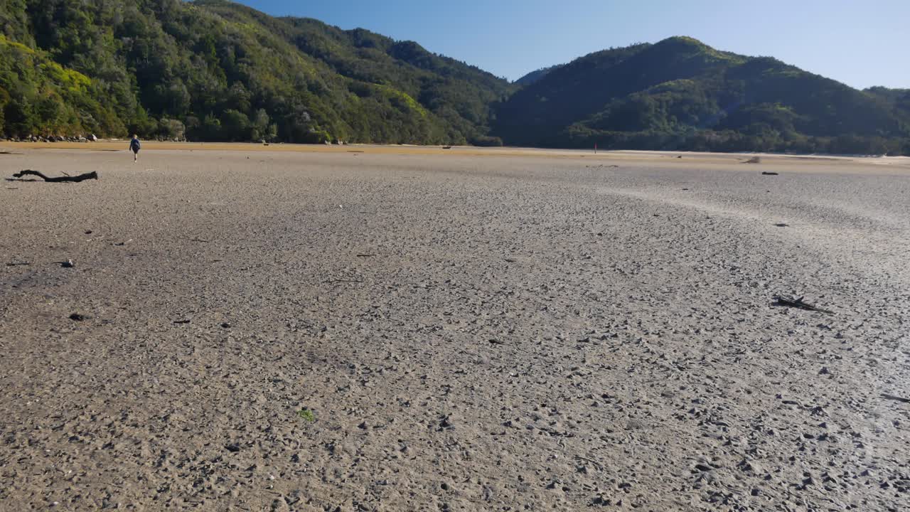 Tilt up: Expansive mud flat beach with distant walking beachcomber