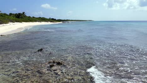 Imágenes-De-Drones-Que-Vuelan-Cerca-De-La-Superficie-De-Un-Océano-Tropical-Turquesa-Y-Un-Arrecife-De-Coral-En-El-Caribe-A-Lo-Largo-De-Una-Playa-Bordeada-De-Palmeras-Nativas