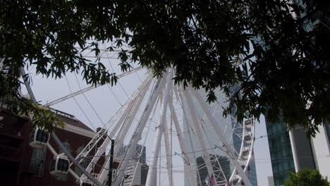 ferris wheel in a city