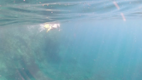 Snorkeler-Nada-Más-Allá-De-Una-Costa-Rocosa-En-Las-Islas-Vírgenes-Británicas