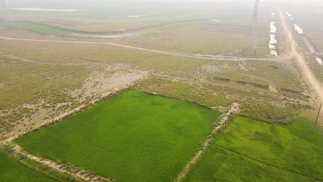 Aerial-view-of-cultivated-rice-paddy-fields-in-landscape-on-hazy-day