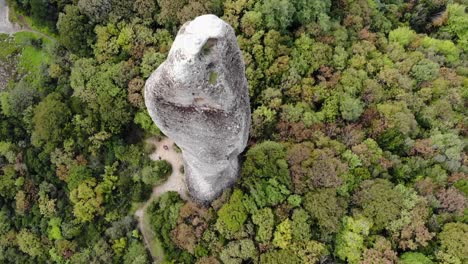 aguja de roca alrededor de un bosque filmado desde arriba