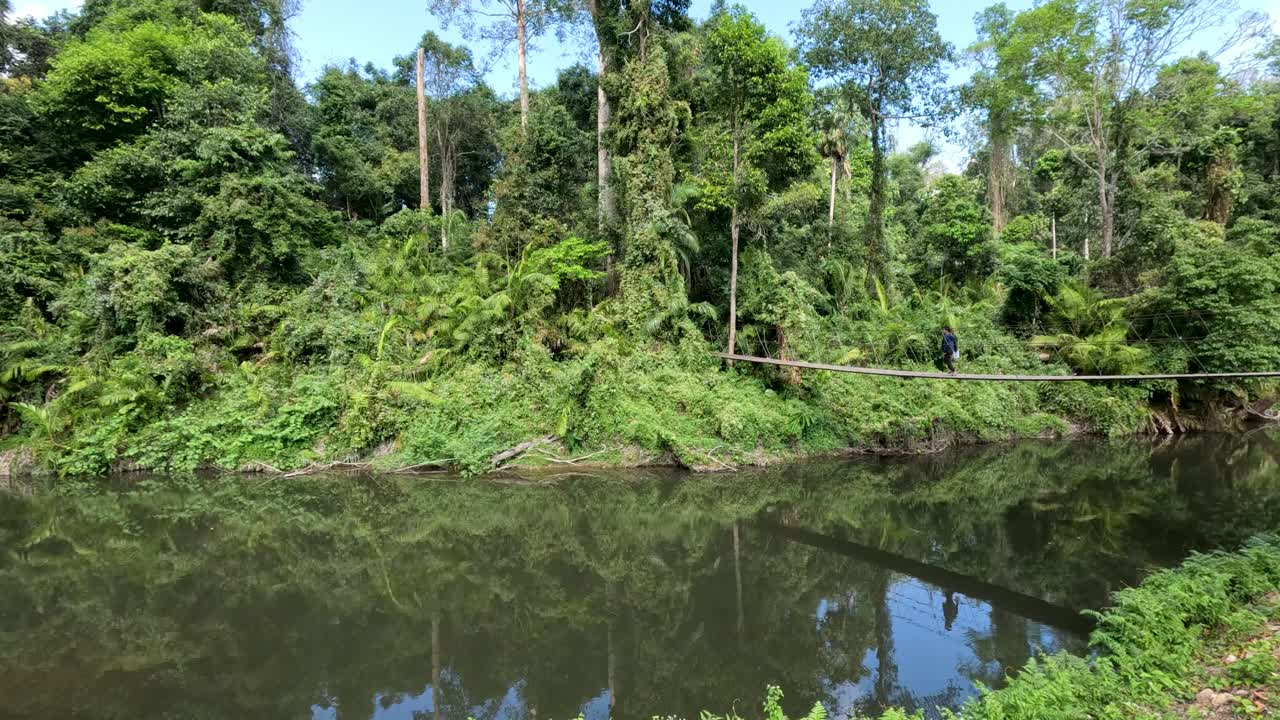 울창한 정글이 조용한 강 건너편을 둘러싸고 있습니다.