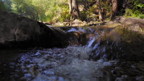 clean creek flowing down the mountain canyon - low angle close up