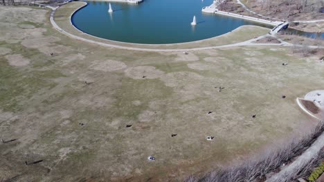 A-slow-descending-aerial-shot-of-people-enjoying-a-sunny-day-at-Art-Hill-in-Saint-Louis,-Missouri