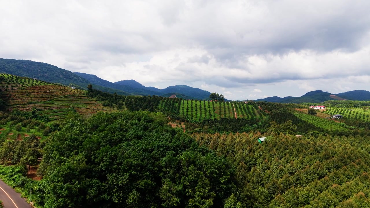 El paisaje de Da Huoai 3 en Lam Dong, Vietnam. Árboles verdes y colinas llenan la zona bajo un cielo nublado. Captura la belleza de la naturaleza y el entorno